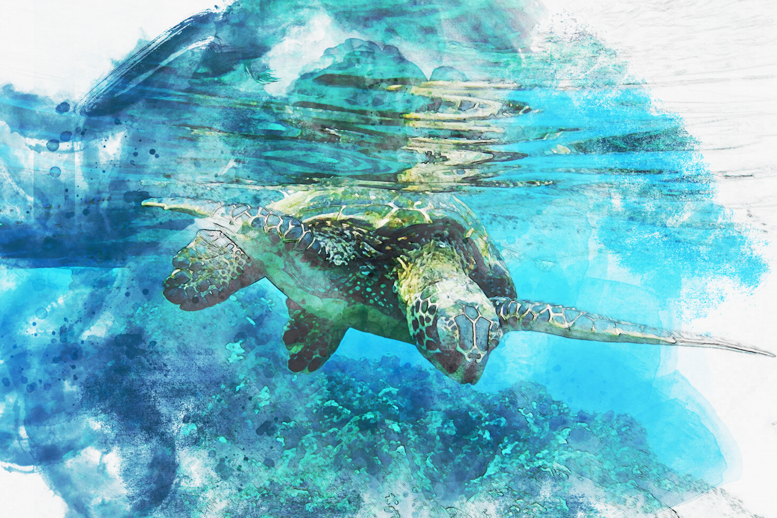 A Win for the Ocean: High Seas Treaty signed at United Nations